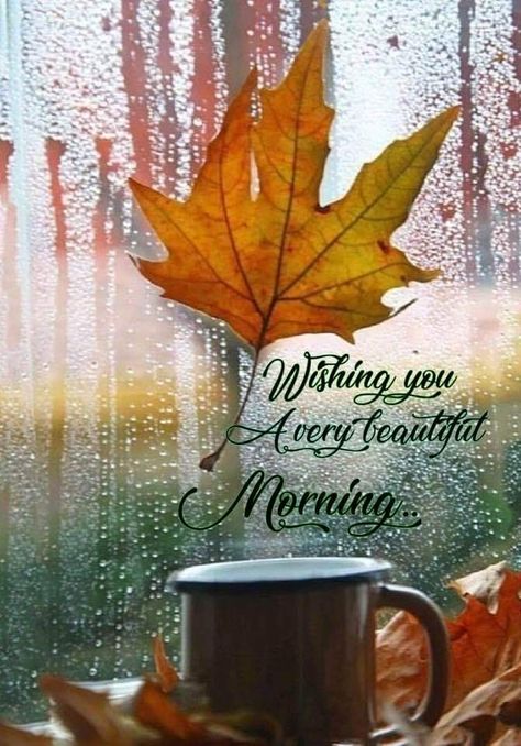 Fall Good Morning, Rainy Good Morning, Good Morning Rainy Day, Rainy Day Quotes, Rainy Autumn, Rainy Fall, Good Morning Post, Cups Of Coffee, Good Morning Beautiful Pictures