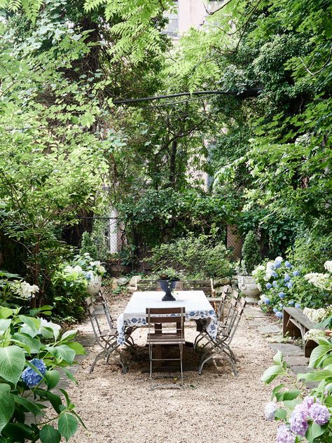 Football Layout, Romantic Backyard, Tuscan Garden, Trees And Flowers, Brooklyn Brownstone, Budget Garden, Gravel Garden, Football Football, Mediterranean Garden