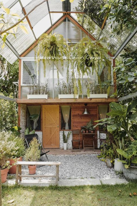 Backdoor Steps, Small Prefab Cabins, Livable Sheds, Patio Stairs, Earthship Home, Amazing Furniture, Prefab Cabins, Home Greenhouse, Backyard Greenhouse