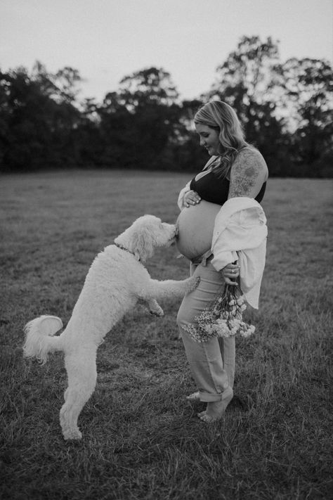 Pregnant Dog Maternity Shoot, Maternity Pictures With Dogs, Pregnancy Photoshoot With Dog, Maternity Pictures With Dog, Maternity Shoot With Dog, Maternity Photography With Dog, Maternity Photos With Dog, Pregnancy Announcement With Dog, Winter Maternity Pictures