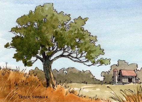 Painting Of House, Peter Sheeler, Watercolor Pencil Art, Watercolor Scenery, Watercolor Art Landscape, Watercolor Architecture, Watercolor Pictures, Watercolor Tree, Watercolour Inspiration