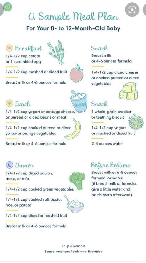 11 Month Old Food, 10 Month Old Baby Food, 9 Month Old Baby Food, 8 Month Old Baby Food, Baby Meal Plan, Baby Food Schedule, 11 Month Old Baby, Baby Led Weaning First Foods, Touch Watch