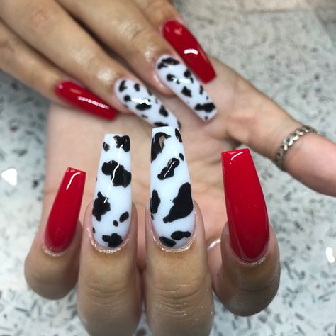 Acrylic coffin cow nails Red And Black Cow Print Nails, Red Cow Print Nails Acrylic, Cow Print Nails With Red, Red Punchy Nails, Red Nails With Cow Print, Red Country Nails, Red Cow Nails, Red Cow Print Nails, Short Cow Nails