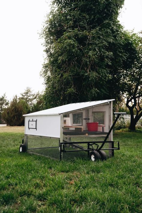 EggCart’n Chicken Tractors | Portable Chicken Coop Kits Free Range Chickens Coop, Perforated Floor, Chicken Enclosure, Chicken Coop Kit, Mobile Chicken Coop, Backyard Coop, Homesteading Animals, Farm Hacks, Portable Chicken Coop