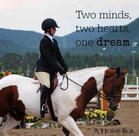 #horses #quotes Showjumping Quotes, Equestrian Quotes Inspirational, Horses Quotes, Equine Quotes, Horse Quote, Horse Sayings, Horse Quotes Funny, Equestrian Clothes, Inspirational Horse Quotes