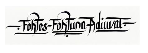 Fortis Fortuna Adiuvat, Sleeve Tattoos, Tattoos