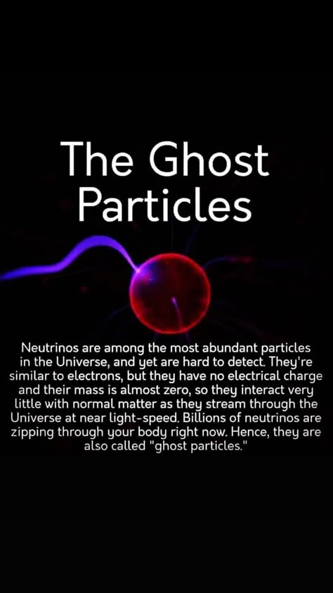 Quantum Physics Science, Physics Facts, Physics Theories, Science Facts Mind Blown, Quantum Physics Spirituality, Learn Physics, Buyer Persona, Astronomy Facts, Space X