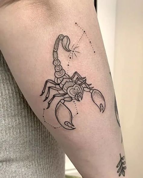 Scorpio Tattoos, About Scorpio, Scorpio Zodiac Tattoos, Tattoos For Females, Horoscope Tattoos, Scorpio Tattoo, Omerta Tattoo, Scorpion Tattoo, Zodiac Sign Tattoos