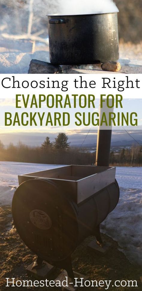 You want to make maple syrup, but if you're a homesteader new to sugaring, how do you evaporate gallons of sap effectively and efficiently? I will help you choose the right evaporator for backyard sugaring by sharing the pros and cons of a few methods that have worked for us, from DIY set ups, to investing in an evaporator that makes the job easier and more fun. #maplesyrup #backyardsugaring #foraging Diy Syrup, Diy Maple Syrup, Maple Syrup Evaporator, Tapping Maple Trees, Food Grade Buckets, Black Walnut Tree, Cats Videos, Homesteading Skills, Sugar Shack