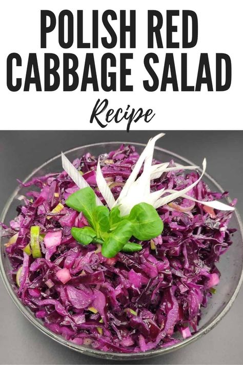 Polish Red Cabbage Salad Recipe That Is Perfect For A Dinner Add-on Red Cabbage Soup, Chinese Cabbage Salad, Cabbage Salad Recipe, Veal Stew, Dinner Meat, Red Cabbage Recipes, Red Cabbage Salad, Cabbage Salad Recipes, Vegetarian Salad Recipes