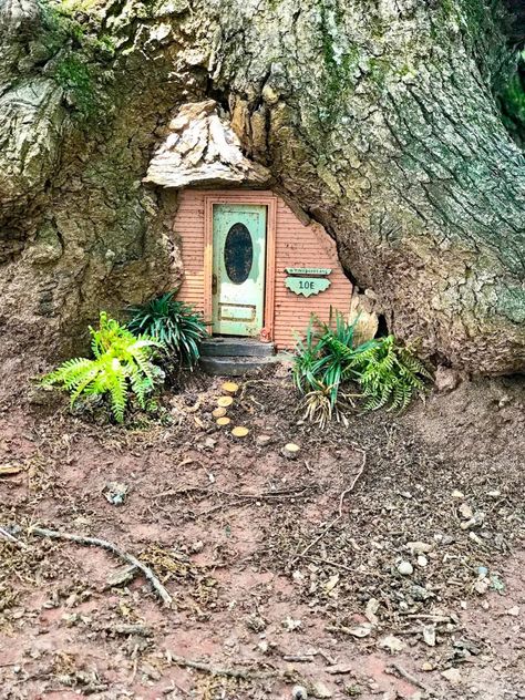 Tiny Doors ATL: Where and How to FInd Them Around Atlanta Strange Houses, Tiny Doors, Faerie Door, Fairy Doors On Trees, Woodland Wonderland, Fairy Garden Doors, Fairy Tree Houses, Fairy Garden Furniture, Fairy Stuff