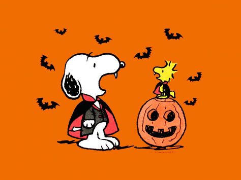 Snoopy And Woodstock Fall, Halloween Imagenes, Woodstock Halloween, Wallpaper Snoopy, Halloween Snoopy, Woodstock Snoopy, Peanuts Halloween, Charlie Brown Halloween, Snoopy Halloween