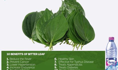 10 Health Benefits of Bitter Leaf Bitter Leaf Benefits, Fever Reducer, Herbal Products, Tea Benefits, Wound Healing, Flat Tummy, Planting Herbs, Be Better, Bitter