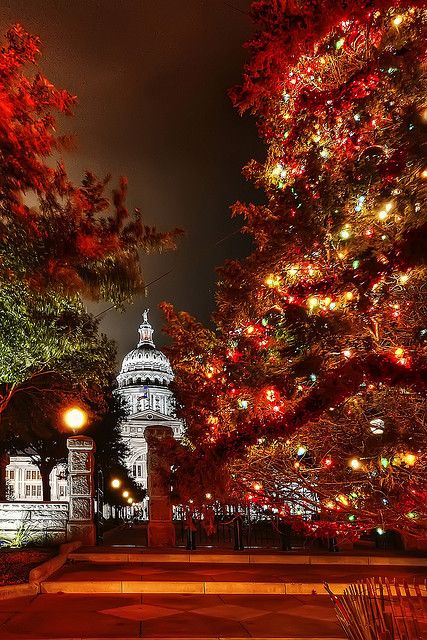 Austin - Texas - Capitol Christmas Tree #travel #austin #usa Winter Favorites, Texas Christmas, Christmas In The City, Christmas Memories, Christmas Things, Beautiful Sites, 3d Christmas, Christmas Scenes, Winter Pictures