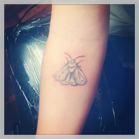 My white moth, done by Jessica White of JAW tattoos at Reclamare Gallery and Custom Tattoo Sacramento, CA White Moth Tattoo, Flannel Moth, Moth Tattoos, White Moth, Tattoo Thoughts, Jessica White, Tattoo Reference, Moth Tattoo, Bff Tattoos