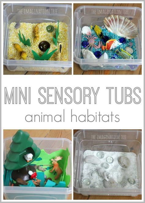 Mini Sensory Tubs - Animal habitats using colored rice and various small objects that suit that animal's habitat Habitat Activities, Animal Habitat, Sensory Tubs, Sensory Tub, Imagination Tree, Sensory Boxes, Sensory Table, Animal Activities, Small World Play