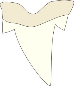 Shark Tooth clip art Tooth Clip Art, Cartoon Props, Teeth Clip, Sharks Teeth, Shark Art, Shark Party, Shark Birthday, Shark Tooth, Beach Camping