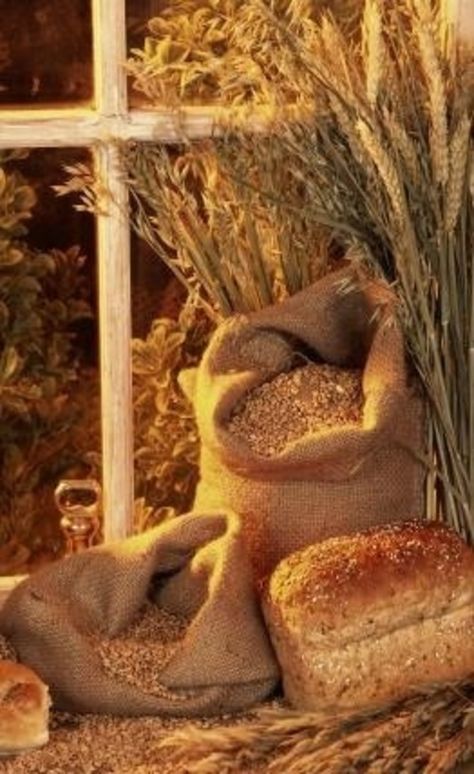 I like this picture because the grain and the bread, which are needful for life, are set against a window pane that creates a cross! Jesus said,"I am the bread of life." Love it. Growing Wheat, Alter Decor, Communion Table, Church Altar Decorations, Worship Art, Tafel Decor, Grain Storage, Church Stage Design, Whole Grains