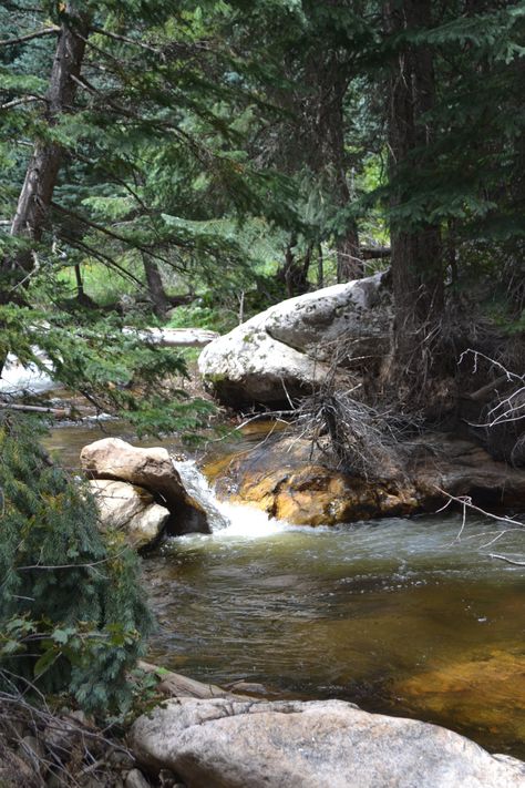 Colorado Forest, Fairy Silhouette, Mountain Lakes, Forest Photos, Continental Divide, Forest Service, Mountain Town, Estes Park, Pine Forest