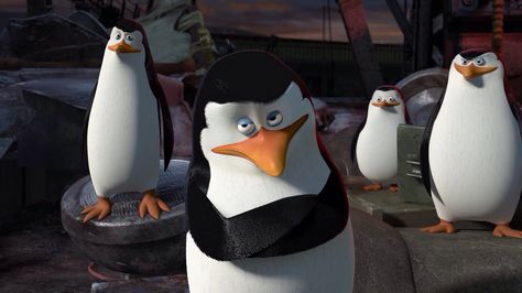 Madagascar 3 Madagascar Wallpaper, Pixar Quotes, Madagascar Movie, Best Movie Quotes, Penguins Of Madagascar, 2012 Movie, The Penguins, Dreamworks Animation, Most Wanted