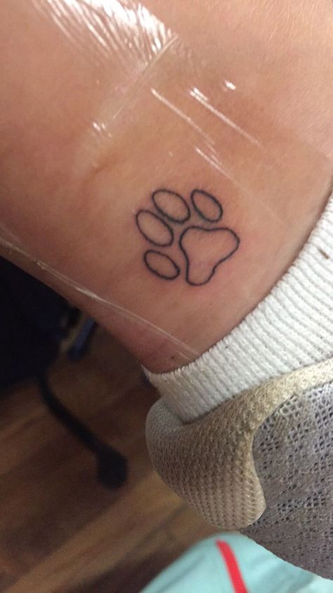 Cat Print Tattoo, Cat Paw Print Tattoo, Cat Silhouette Tattoos, Cat Paw Tattoos, Tattoo Fixes, Dog Print Tattoo, Pawprint Tattoo, Saved Tattoo, Minimal Tattoo Design