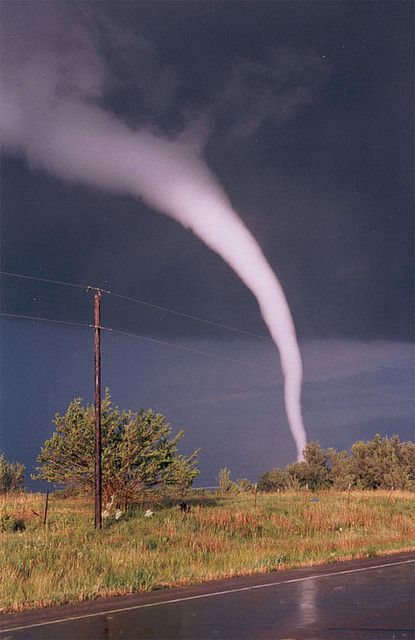 Tornado near Mulvane, KS, 6/12/2004. This was about a mile from the house I grew up in..... Tornado Pictures, Water Spouts, Storm Pictures, Weather Cloud, Weather Storm, Art Coquillage, Storm Chasing, Storm Photography, Wild Weather