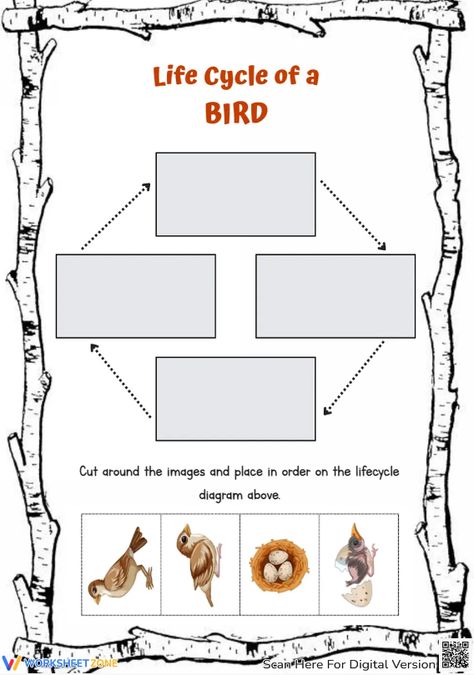 Help students explore the basic stages of a bird life cycle through this engaging worksheet. You can find and download any Bird Life Cycle worksheets for FREE at our website: http://worksheetzone.org/ Try it out! #science #scienceworksheets #birdlifecycle #livingthings  #animalslifecycle #lifecycle #stages #lifecycleofabird #birds #printables #worksheet #kidsactivities #paper&gluecrafts #cut&paste #birdcrafts #birdlifecycleforkids #paper #cards Life Cycle Of A Bird Free Printables, Bird Life Cycle Preschool, Life Cycle Of A Bird, Bird Worksheet, Bird Life Cycle, Bird Free, Preschool Art Activities, Bird Crafts, Science Worksheets