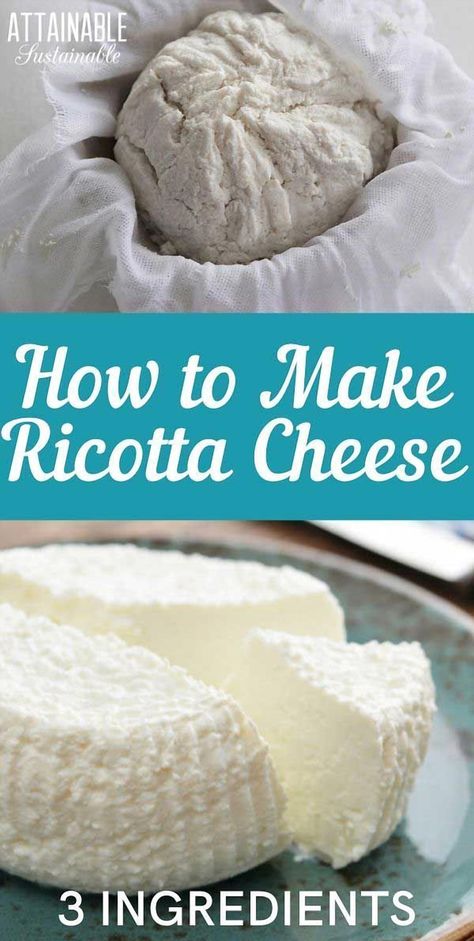 Transform your kitchen into a gourmet haven with this easy homemade ricotta cheese recipe. Perfect for food enthusiasts and beginners alike, this guide will show you how to create creamy, fresh ricotta with just a few simple ingredients. Elevate your pasta dishes, enhance your salads, or enjoy it on its own with a drizzle of honey. Once you try making ricotta at home, you'll never go back to store-bought. Dive into the world of homemade cheese and impress your taste buds with this delightful culinary adventure. Using Up Milk, Make Cheese, 2024 Budget, Ricotta Cheese Recipe, Homemade Ricotta Cheese, Ricotta Cheese Recipes, Fresh Ricotta, Cheese At Home, Homemade Ricotta