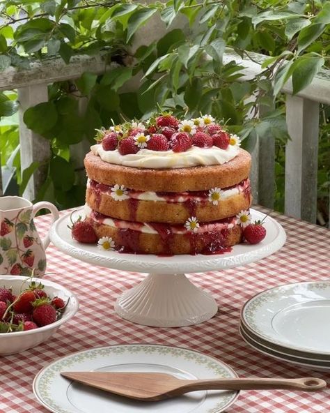 Rikki Li on Instagram: "summer fruit!! summer rain!! annette wynne said it best, june was made for happy things   today I made my favorite cake for @drinkghia and @algaecookingclub: three layers of tender-soft vanilla bean sponge, honey mascarpone cream, and a summer strawberry chamomile compote. I hope this month holds so much love for you 🍓" Ghibli In Real Life, Berry Cream Cake, Strawberry Cake Birthday, Strawberry And Cream Cake, Honey Mascarpone, Pretty Sweets, Strawberry And Cream, Birthday 16, Vanilla Sponge Cake