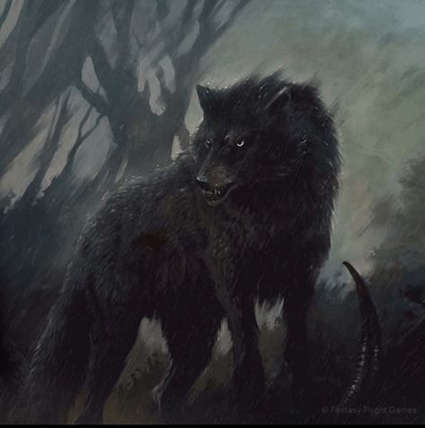 Viewing Antonio Mauro Dire Wolf, Black Wolf, Forest, Google Search, Black, Art