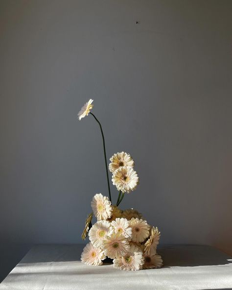 — a study on Gerberas and shapes… featuring a special guest in the last picture ✨ Minimalist allure in full bloom. One-type-of-flower arrangements: clean lines + contemporary charm. From gran en masse displays to delicate settings, each stem, petal and shape is pure inspiration. #gerbera #pinkgerbera #weddingflorals #weddingflorist #italianflorist #tuscanyflorist #tuscanywedding #pugliawedding #venicewedding Flower Arrangements Minimalist, Minimalistic Flower Arrangements, Modern Floral Bouquets, Gerbera Flower Arrangements, Minimal Flower Arrangements, Single Flower Arrangements, Flower Arrangements Aesthetic, Gerbera Arrangement, Flower Arrangements Vase