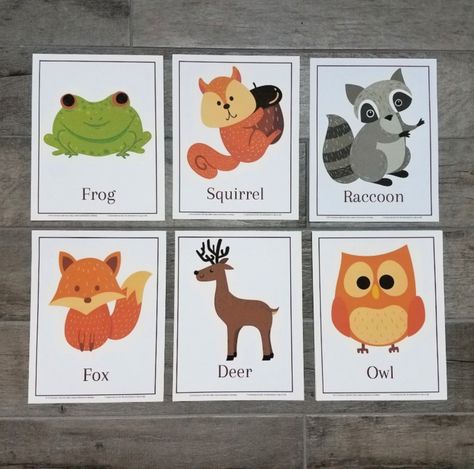 Forest Animals Activities | FREE printable game Forest Animals Activities, Nocturnal Animals Activities, Forest Animals Preschool, Animal Matching Game, Animals Activities, Spelling For Kids, Animal Activities For Kids, Tree Study, Memory Match Game