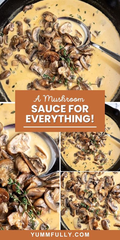 Having great sauce recipes is always a good idea. You can dress any protein or carb with a great sauce. In this recipe, you will learn how to make creamy mushroom sauce from scratch. Use it over steak, roasted chicken, pasta, or even mashed potatoes! Mushrooms Sauce, Mushroom Sauce Recipe, Homemade Sauce Recipes, Creamy Mushroom Sauce, Marinade Sauce, Gravy Sauce, Creamy Mushroom, Sauces And Dressings, Mushroom Sauce