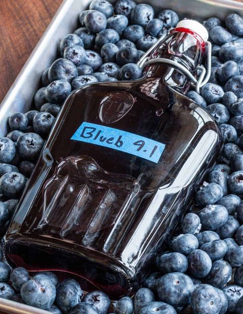 Homemade Blueberry Liqueur Blueberry Liqueur Recipe, Blueberry Liquor Recipes, Liquor Infusions, Blueberry Liquor, Forager Chef, Homemade Booze, Homemade Liqueur, Homemade Liqueur Recipes, Blueberry Drinks