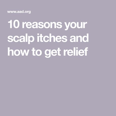 10 reasons your scalp itches and how to get relief How To Treat Dandruff, Scalp Itch, Scalp Problems, Itchy Rash, Dry Itchy Scalp, Itch Relief, Diy Hair Care, Itchy Scalp, Deep Wrinkles