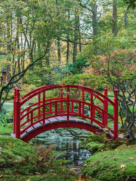 Zen Photography, Japanese Bridge, Japanese Garden Landscape, Asian Photography, Japanese Garden Design, Garden Photography, Zen Art, Autumn Garden, Zen Garden