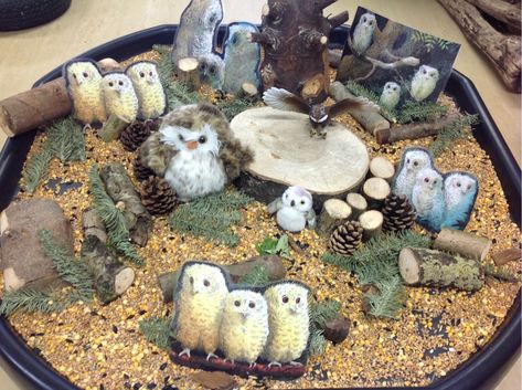 Owl Babies Tuff Tray, Word Aware, Owl Crafts Preschool, Nocturnal Animals Activities, Eyfs Nursery, Baby Room Activities, Autumn Nursery, Owl Babies, Early Childhood Education Activities