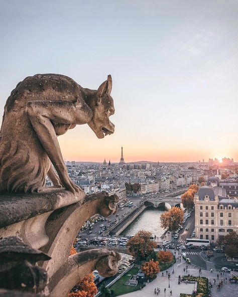 Paris P@RIS #ThisisParisさんはInstagramを利用しています:「The view from the towers of Notre-Dame beautifully photographed by @patrickcolpron #thisisparis always something new to discover, taste and…」 Torre Eiffel Paris, Travel France, Paris Aesthetic, France Photos, Paris Photography, Walking Sticks, France Travel, Oh The Places Youll Go, Saint Louis