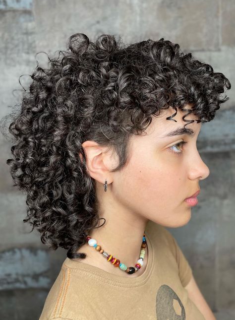 Are you ready to rock a hairstyle that’s equal parts chic and edgy? Get ready to dive into the world of mullet curls!  From shoulder-length brunettes to rich chocolate voluminous curls, there’s a mullet curl style to suit every personality and preference.  Let’s get into the list of 22 mullet curl hairstyle ideas! Naturally Curly Mullet, Short Hairstyle Curly Hair Women, Curly Mullet With Undercut, Shaved Side Hairstyles Curly Hair, Long Curly Hair Undercut Woman, 3b Curly Hair Mullet, 4b Mullet, "mixie" Haircut Curly, Lesbian Mullet Haircut Curly