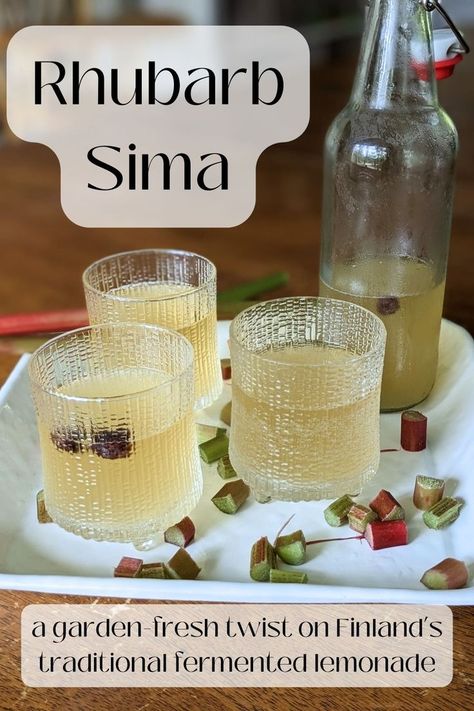 Rhubarb Sima brings a light, fresh flavor straight from the garden to Finland's classic favorite, sima! This rhubarb sima recipe is perfect for a beginner to home fermentation or for those already familiar with sima who may be looking for something new. Sima Recipe, Fermented Lemonade, Virgin Cocktail Recipes, London Fog Recipe, Fermented Fruit, Preserving Vegetables, Fermented Honey, Finnish Recipes, Fermentation Recipes