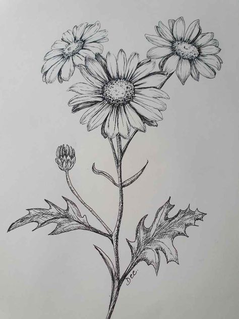 Flower Drawing Step By Step, Daisy Flower Drawing, Flower Drawing Ideas, Daisy Drawing, A Daisy Flower, Simple Flower Drawing, Easy Flower Drawings, Flower Drawing Tutorials, Drawing Step By Step