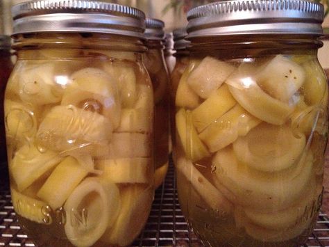 Bamboo Shoots - Bamboo Pickles Fresh Bamboo Shoot Recipe, Pickled Bamboo Shoots, Bamboo Shrimp, Kosher Dill Pickles, Bamboo Species, Bamboo Fishing Rod, Bamboo Shoots, Dill Pickle, Wheat Free