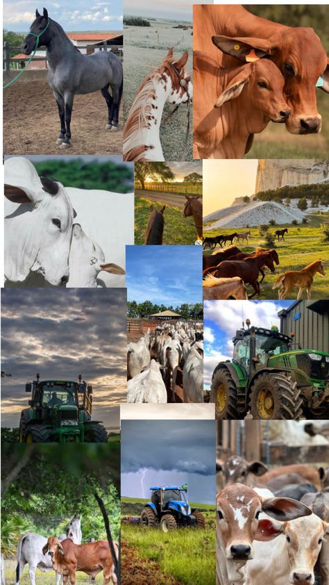 Money Vision Board, Dream Cars Mercedes, Farm Lifestyle, Anime Best Friends, Farm Life, John Deere, Farm Animals, Dolphins, Dream Cars