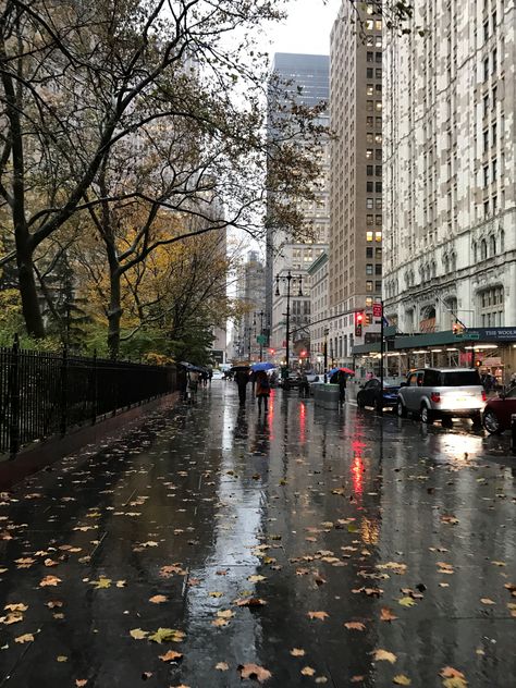 Wet Street near Pace and City Hall by Hadassah Chaya Pardo Wet Street Aesthetic, Background Reference Photo City, Street Veiw, Street Perspective, City Perspective, Wet Street, Artist Background, Rainy Day Pictures, Street Background