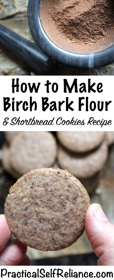 How to Make Birch Bark Flour & Shortbread Cookies Recipe ~ Wild Foraged Flour Acorn Butter, Shortbread Cookies Recipe, Wild Food Foraging, Foraging Recipes, Foraged Food, Shortbread Cookie Recipe, Wild Edibles, Textured Jacket, Survival Food