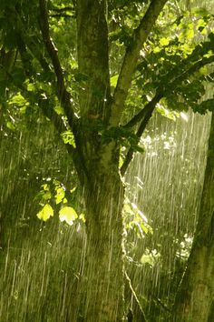 'Summer Rain' - Kate Reid | Fochabers Burn Bright Rainy Day Aesthetic, Happy Rain Aesthetic, Rainy Weather Photography, Rain Beauty, I Love Rain, Rain Storm, Love Rain, Singing In The Rain, Rainy Night