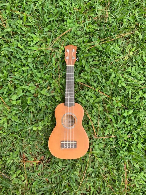 Ukelele| Music| Aesthetic| Musician vibes| Ukelele Aesthetic Girl, Aesthetic Musician, Ukelele, Music Aesthetic, String Instruments, Ukulele, Aesthetic Girl, Electric Guitar, Musician