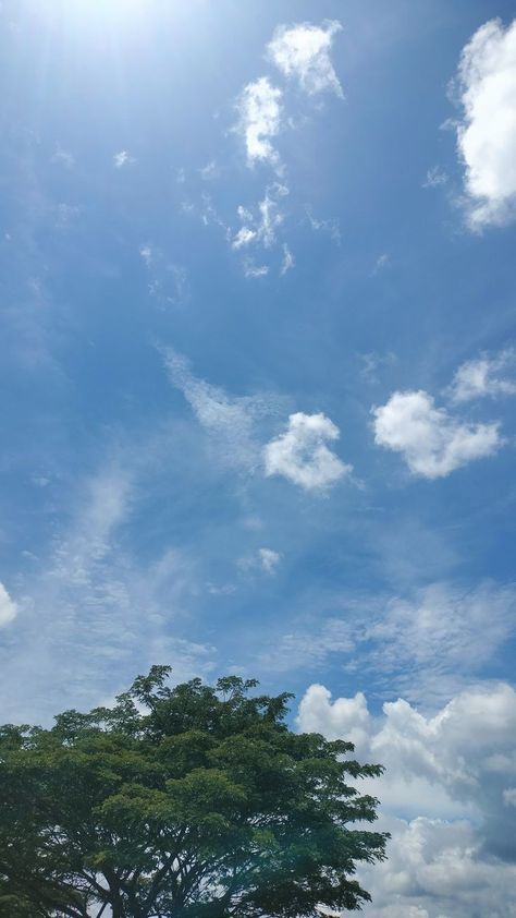 Blue sky aesthetic wallpaper Sky And Trees Aesthetic, Sky Pics Aesthetic, Sky Aesthetic Instagram Story, Fake Ig Photos, Fake Ig Stories, Sky Snaps, Amma Photos Hd, Sky Snap, Fake Ig Story