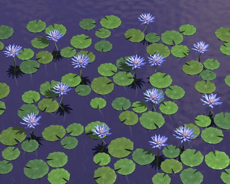 Blue Lotus WP by parrotdolphin on ... Blue Lotus Tattoo, Lotus Flower Quote, Masaru Emoto, Violet Aesthetic, Reflection Painting, Blossom Garden, Feel Lost, Blue Lily, Lotus Pond