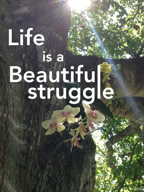 Life is a Beautiful struggle Life Is A Beautiful Struggle, Poem Ideas, Things Quotes, Sayings And Phrases, Little Things Quotes, Beautiful Disaster, Aesthetic Quotes, More Than Words, Quote Aesthetic